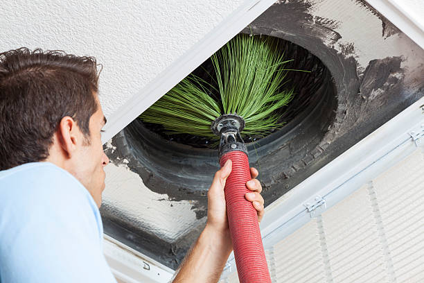 Best Air Duct Mold Removal  in Kinsley, KS